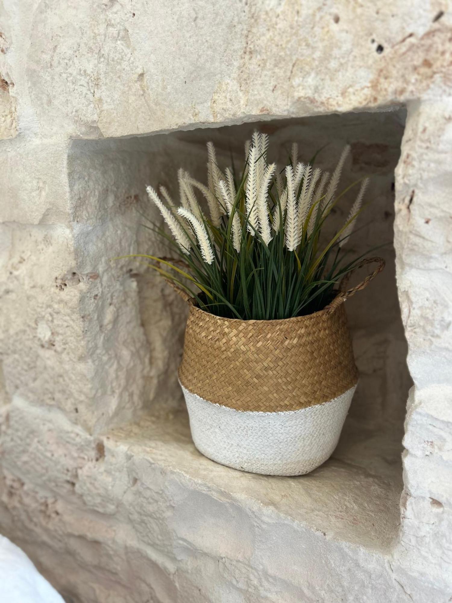 منزل الضيف Trulli In Contrada - مونوبولي المظهر الخارجي الصورة